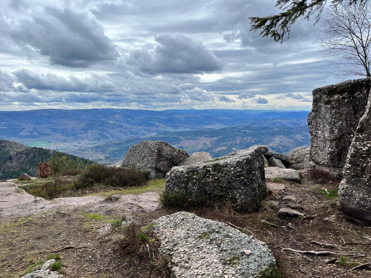 Maison Independante De Montagne En Alsace Bellefosse Экстерьер фото