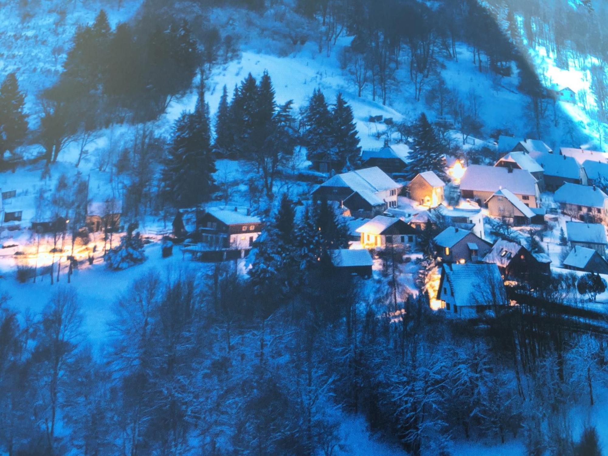 Maison Independante De Montagne En Alsace Bellefosse Экстерьер фото