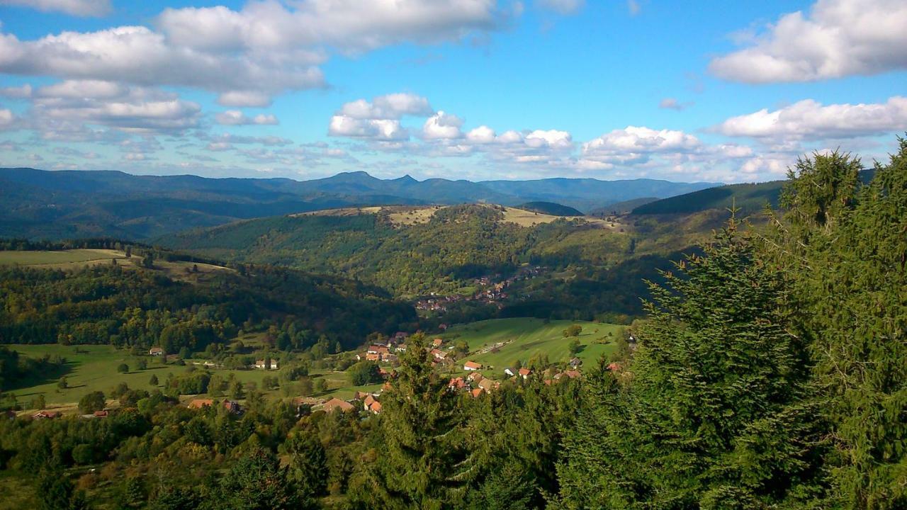 Maison Independante De Montagne En Alsace Bellefosse Экстерьер фото
