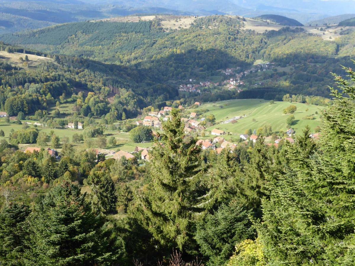 Maison Independante De Montagne En Alsace Bellefosse Экстерьер фото